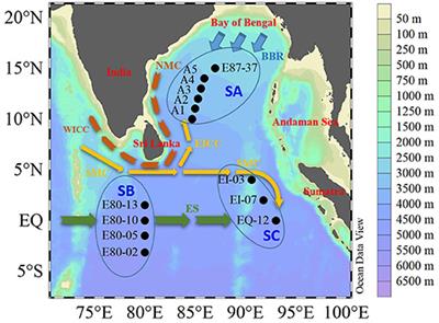 Fluorescence Characteristics of Chromophoric Dissolved Organic Matter in the Eastern Indian Ocean: A Case Study of Three Subregions